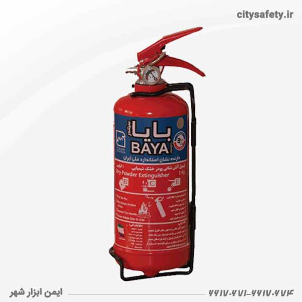 Baya-powder-and-gas-capsules-1kg