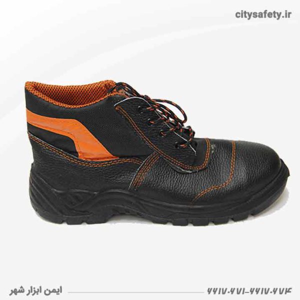 Safety-shoes---Sheriff-ecological-model